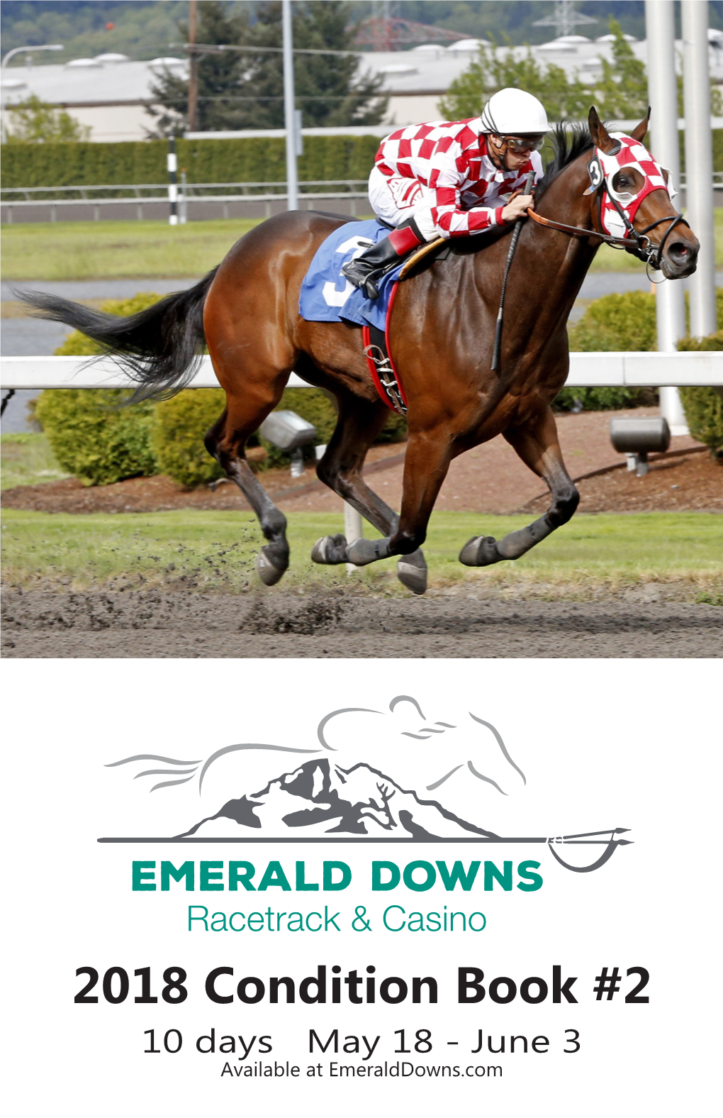 2018 Condition Book #2 10 Days May 18 - June 3 Available at Emeralddowns.Com #1 in SAME DAY SERVICE