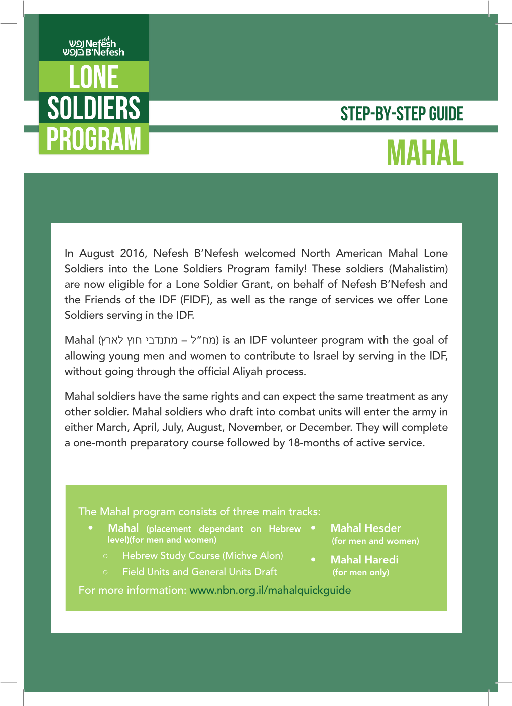 Program Lone Soldiers