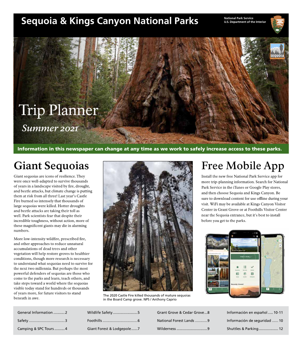 Sequoia & Kings Canyon National Parks: Trip Planner, Summer 2021