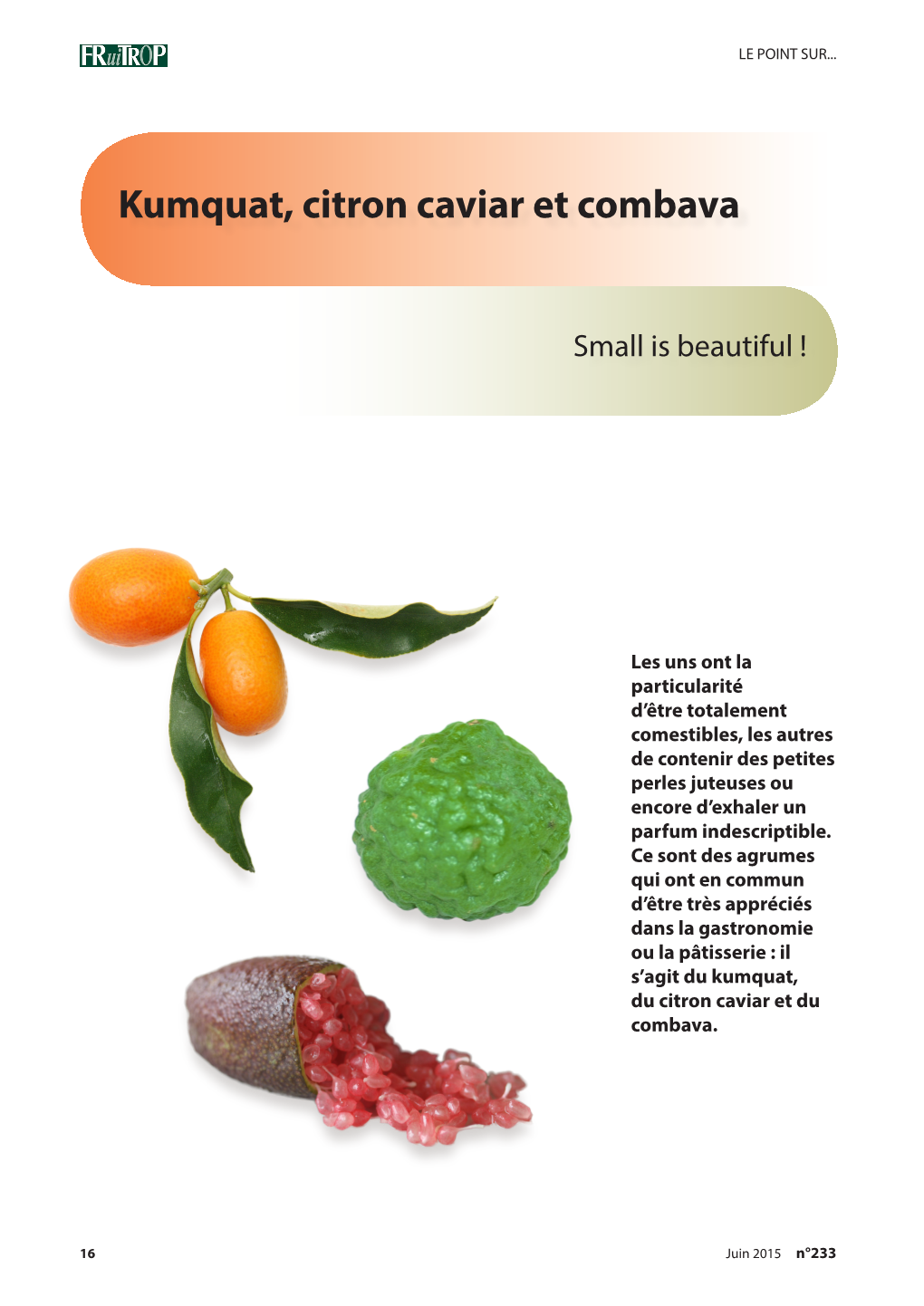 Kumquat, Citron Caviar Et Combava