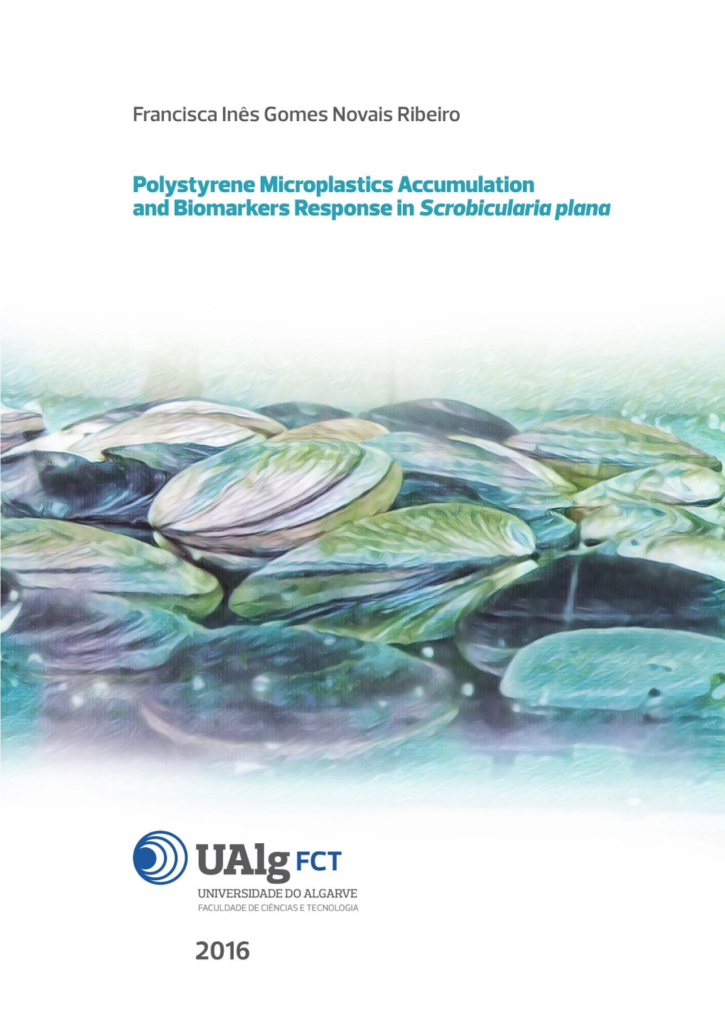 Polystyrene Microplastics Accumulation and Biomarkers Response in Scrobicularia Plana