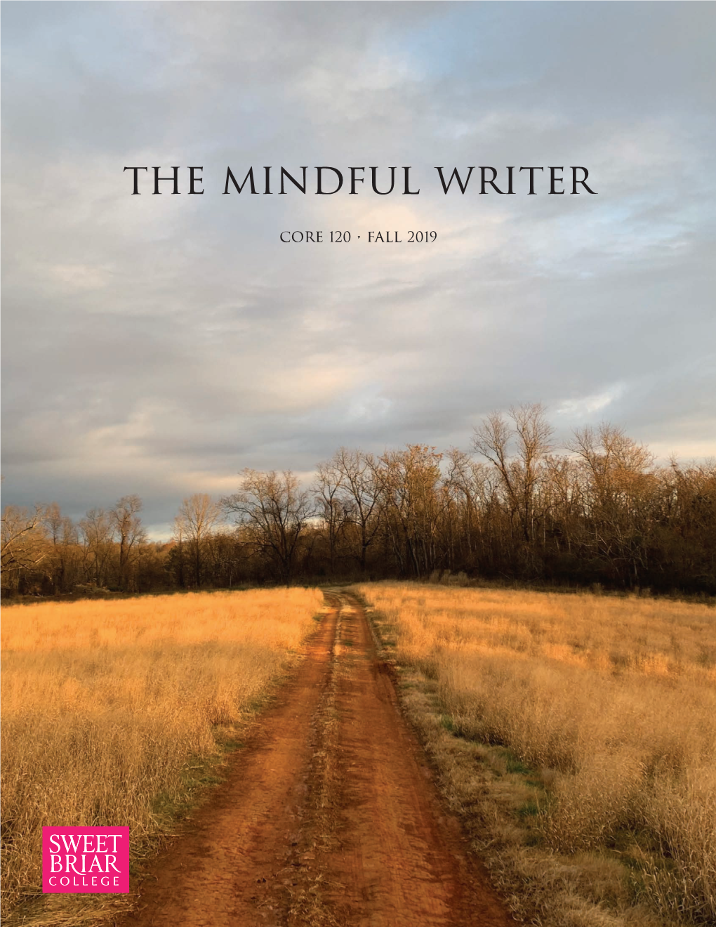 The Mindful Writer