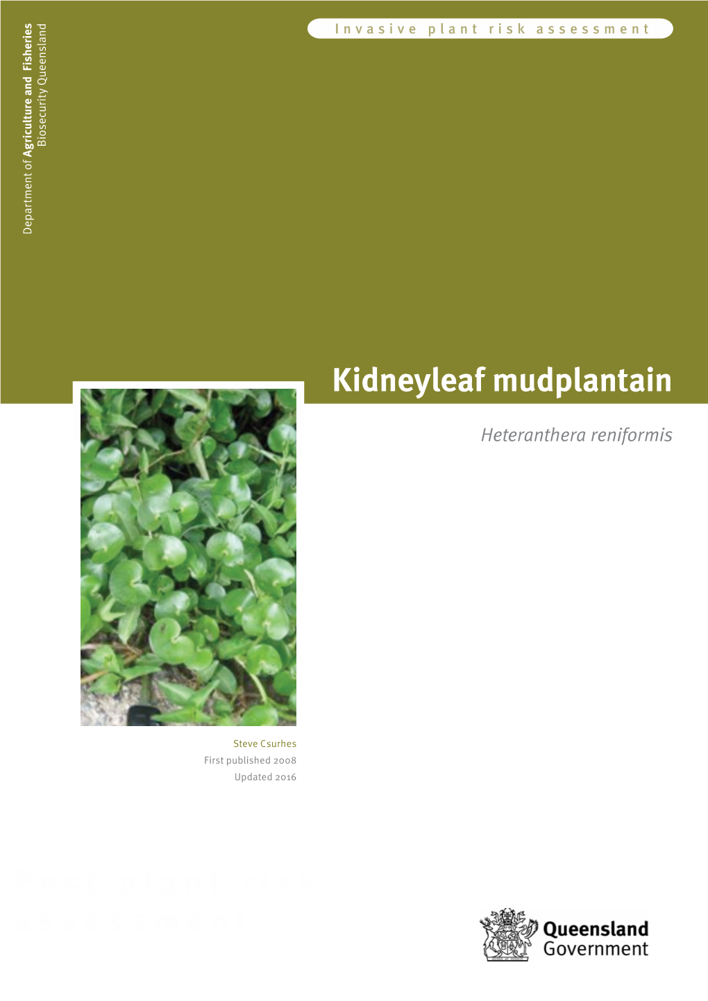Kidneyleaf Mudplantain (Heteranthera Reniformis)