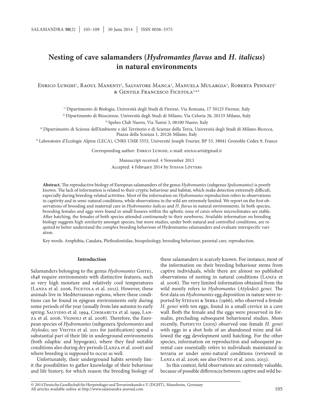 Nesting of Cave Salamanders (Hydromantes Flavus and H