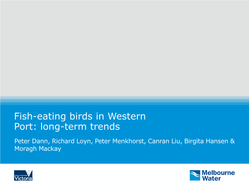 Fish-Eating Birds in Western Port: Long-Term Trends