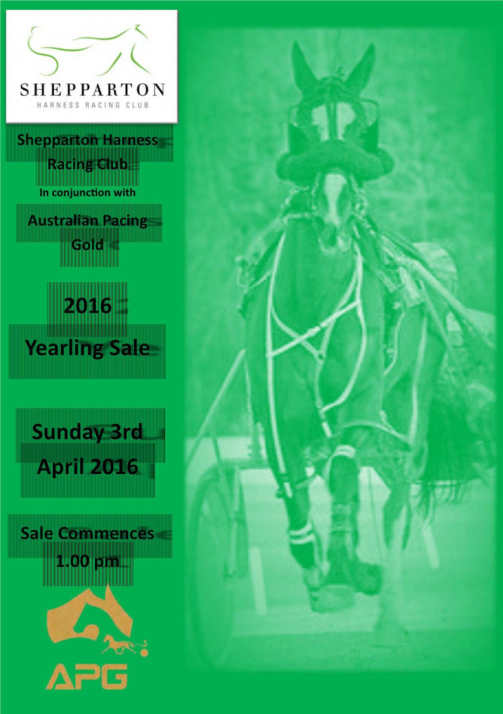 2016 YEARLING SALE SUNDAY 3RD APRIL 2016 Sale Commences at 1.00Pm
