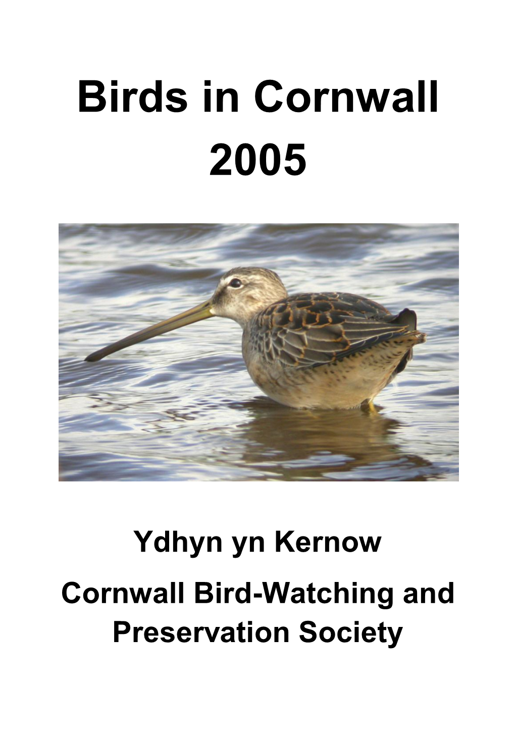 Birds in Cornwall 2005
