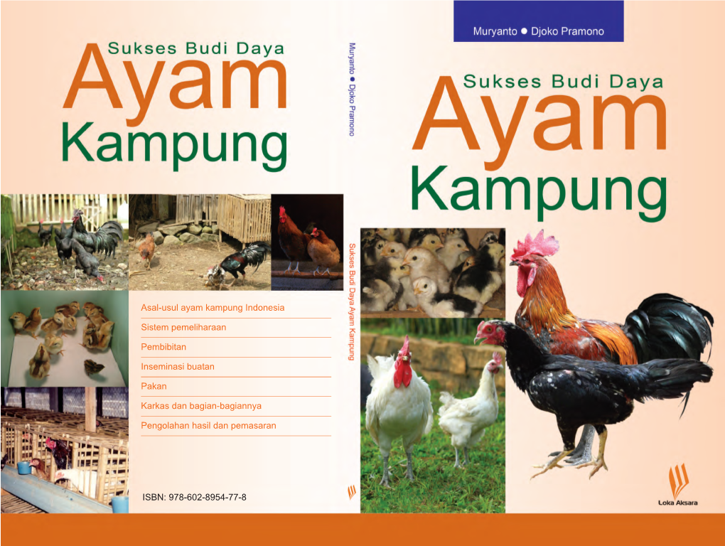 Kelengkapan Sukses Budidaya Ayam Kampung.Pmd