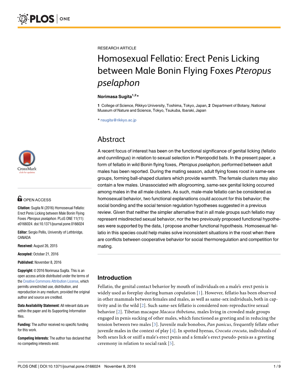 Homosexual Fellatio: Erect Penis Licking Between Male Bonin Flying Foxes Pteropus Pselaphon