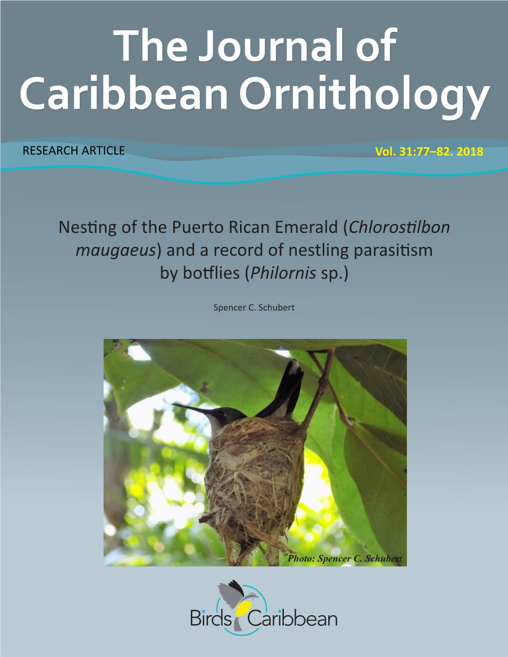 Chlorostilbon Maugaeus) and a Record of Nestling Parasitism by Botflies (Philornis Sp.)