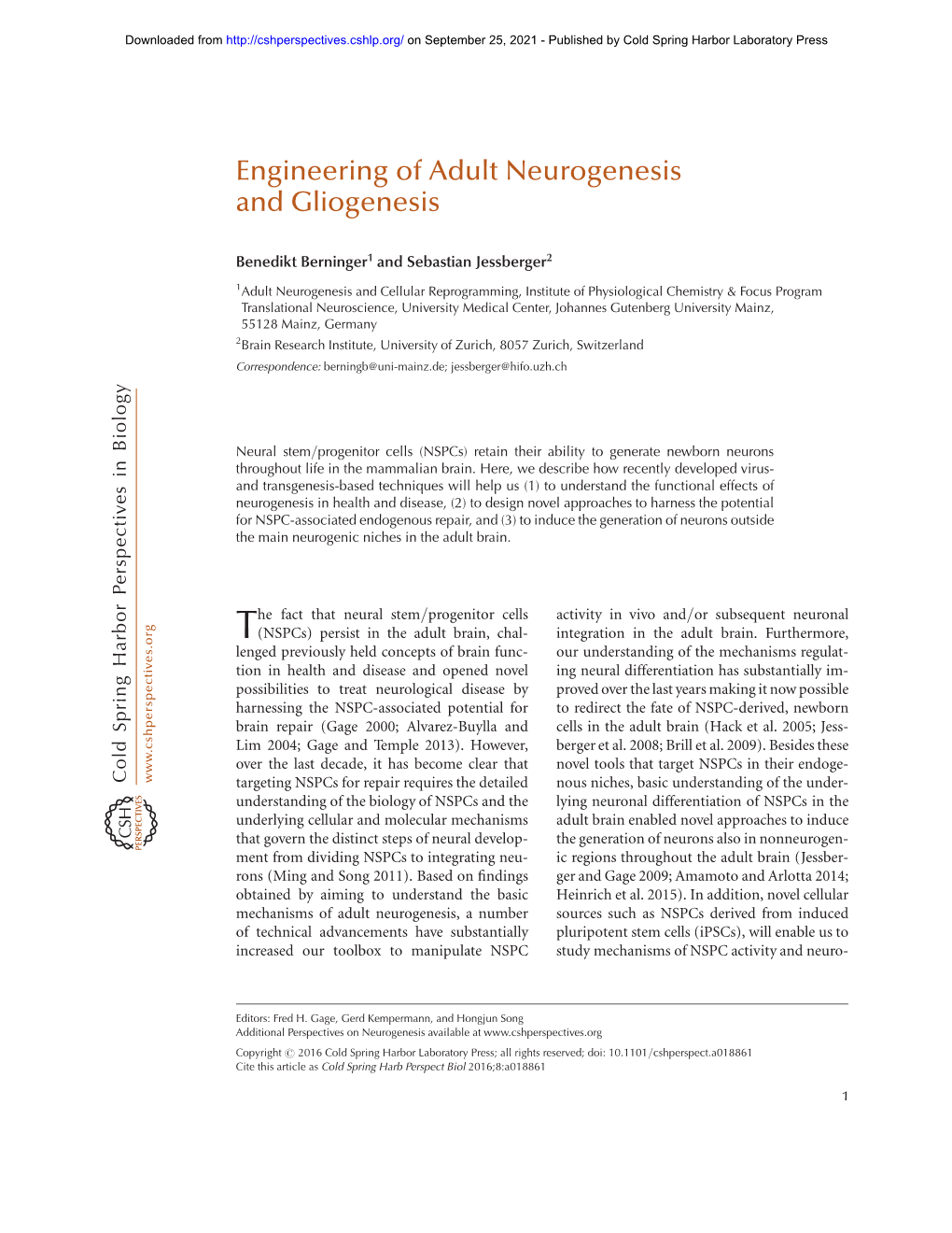 Engineering of Adult Neurogenesis and Gliogenesis