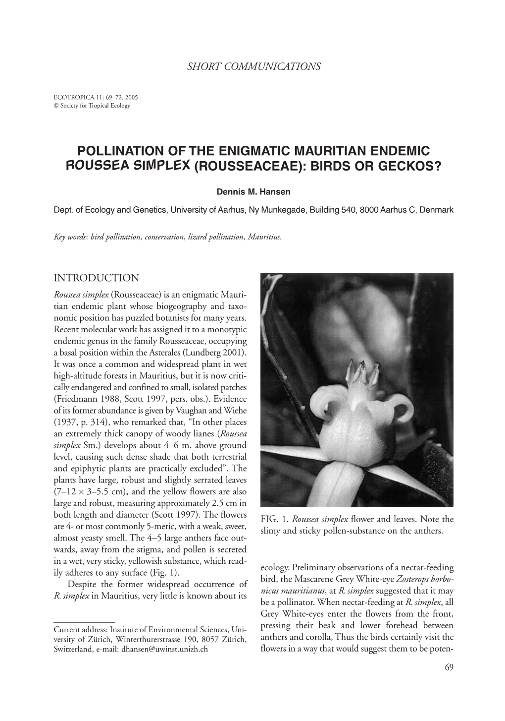 Pollination of the Enigmatic Mauritian Endemic Roussea Simplex (Rousseaceae): Birds Or Geckos?