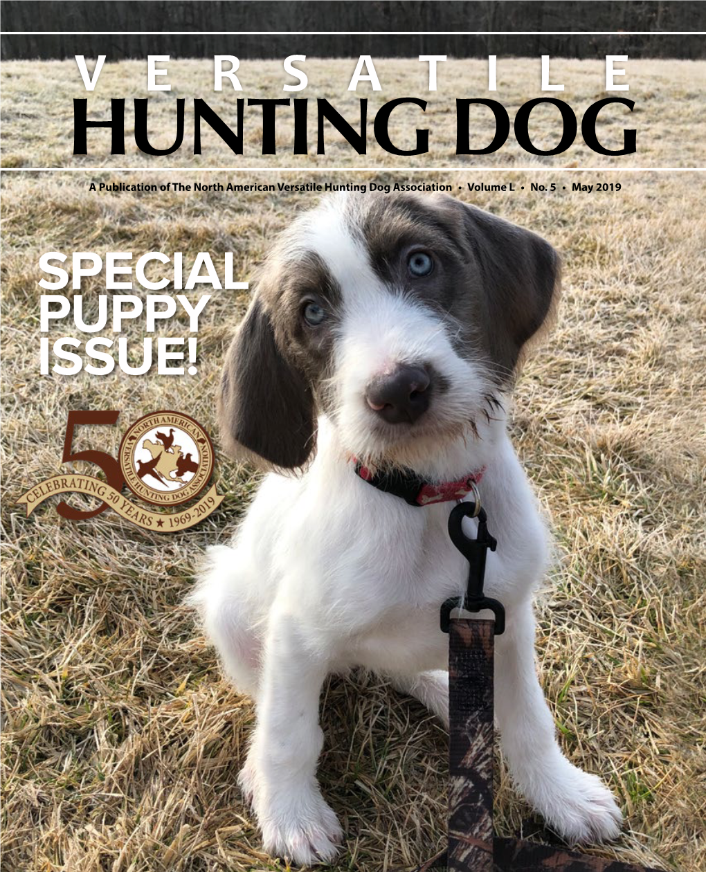 Versatile Special Puppy Issue!