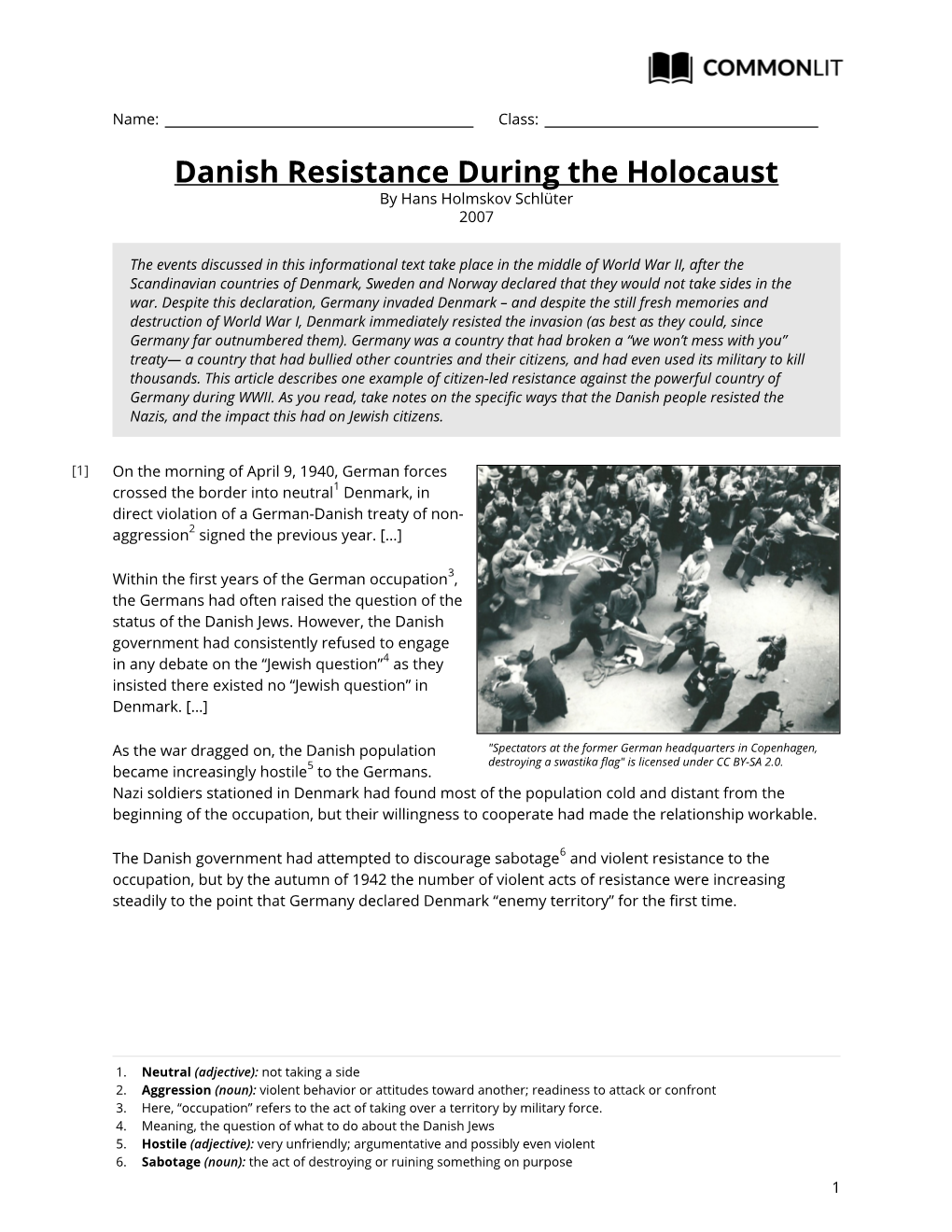 Danish Resistance During the Holocaust by Hans Holmskov Schlüter 2007