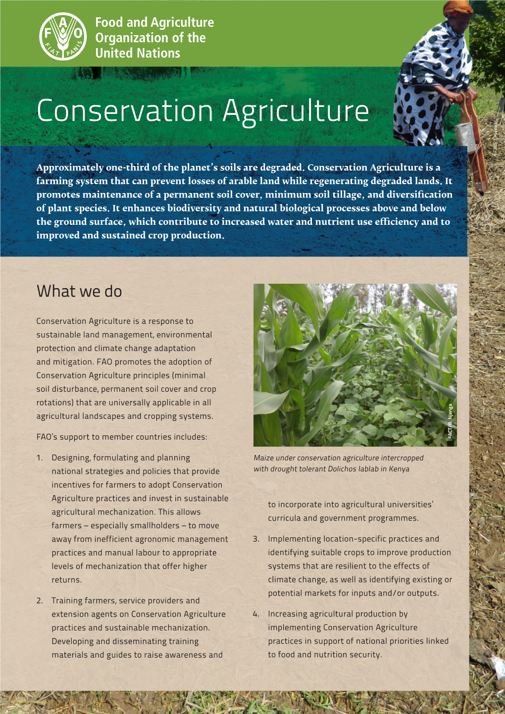 Conservation Agriculture ©FAO/J