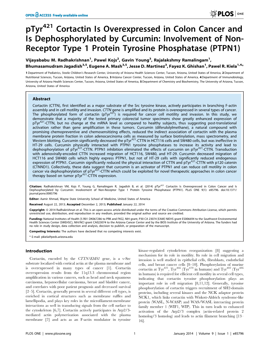 Ptyr Cortactin Is Overexpressed in Colon Cancer