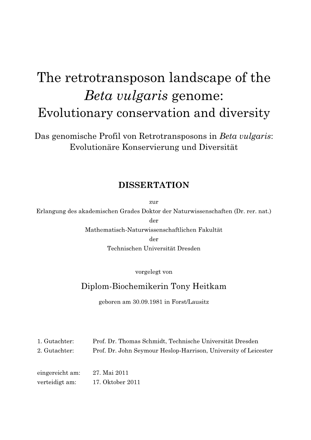The Retrotransposon Landscape of the Beta Vulgaris Genome: Evolutionary Conservation and Diversity