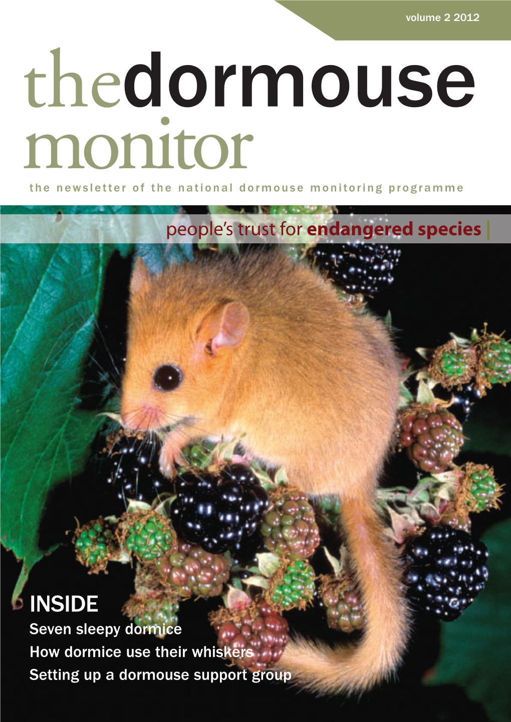 2012-Dormouse-Monitor-Vol-2.Pdf