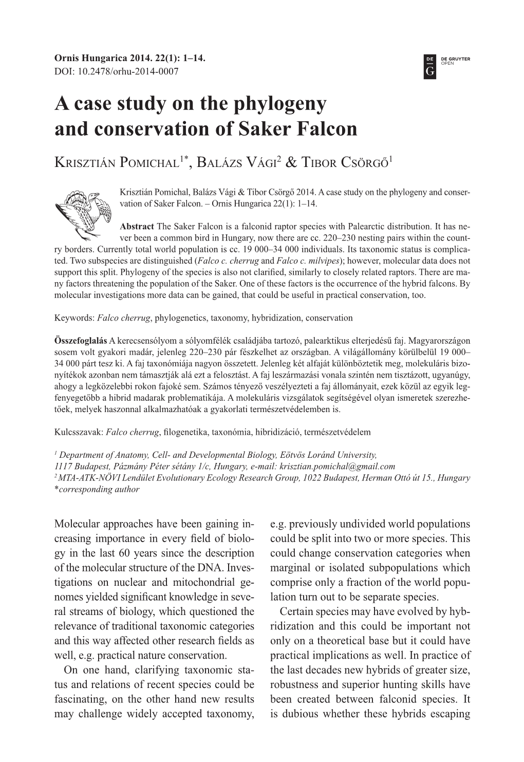 A Case Study on the Phylogeny and Conservation of Saker Falcon