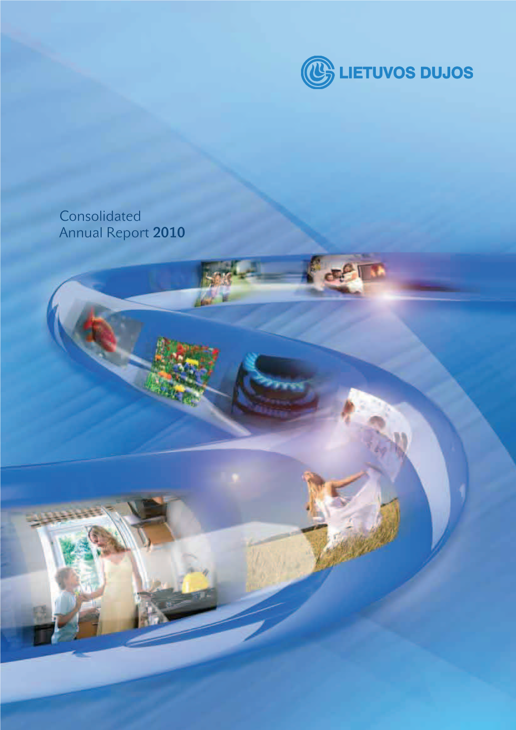 Consolidated Annual Report 2010