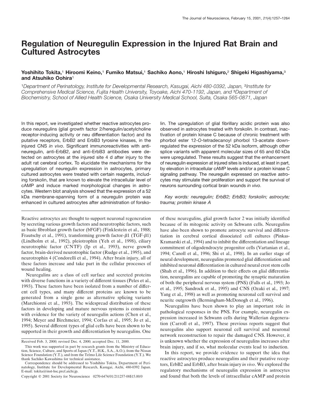 Regulation of Neuregulin Expression in the Injured Rat Brain and Cultured Astrocytes