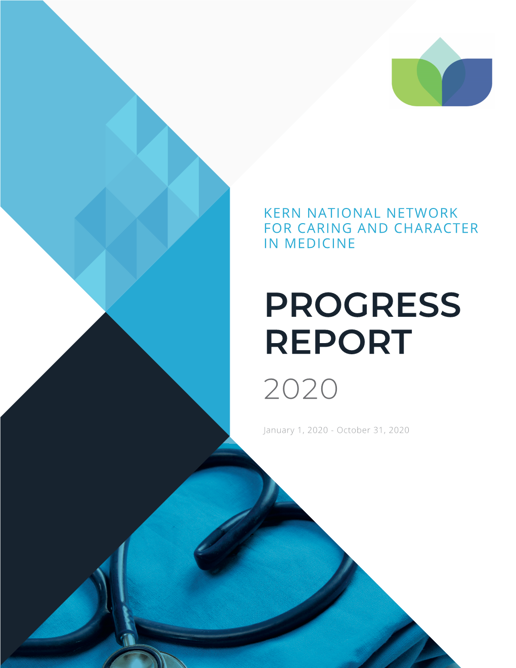 Progress Report 2020