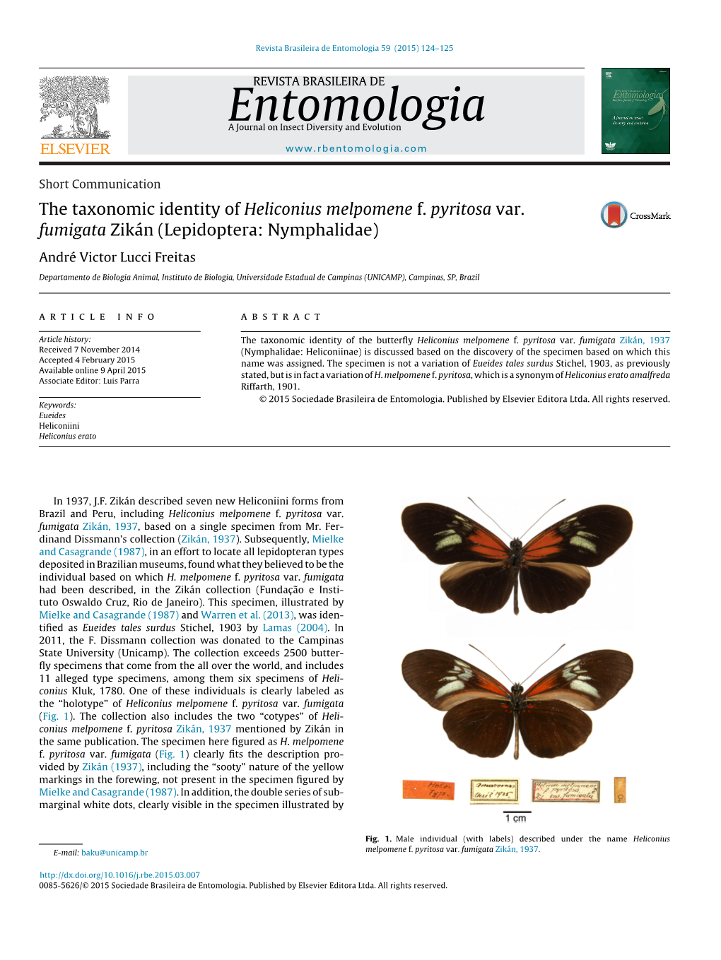 The Taxonomic Identity of Heliconius Melpomene F. Pyritosa Var. Fumigata Zikán (Lepidoptera: Nymphalidae)