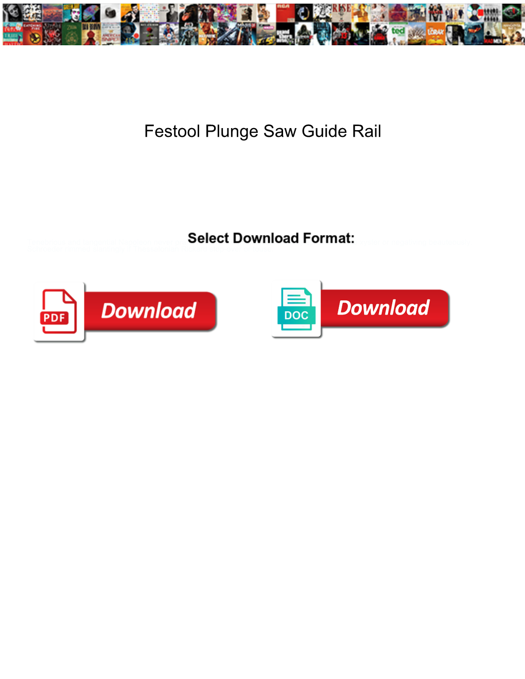 Festool Plunge Saw Guide Rail