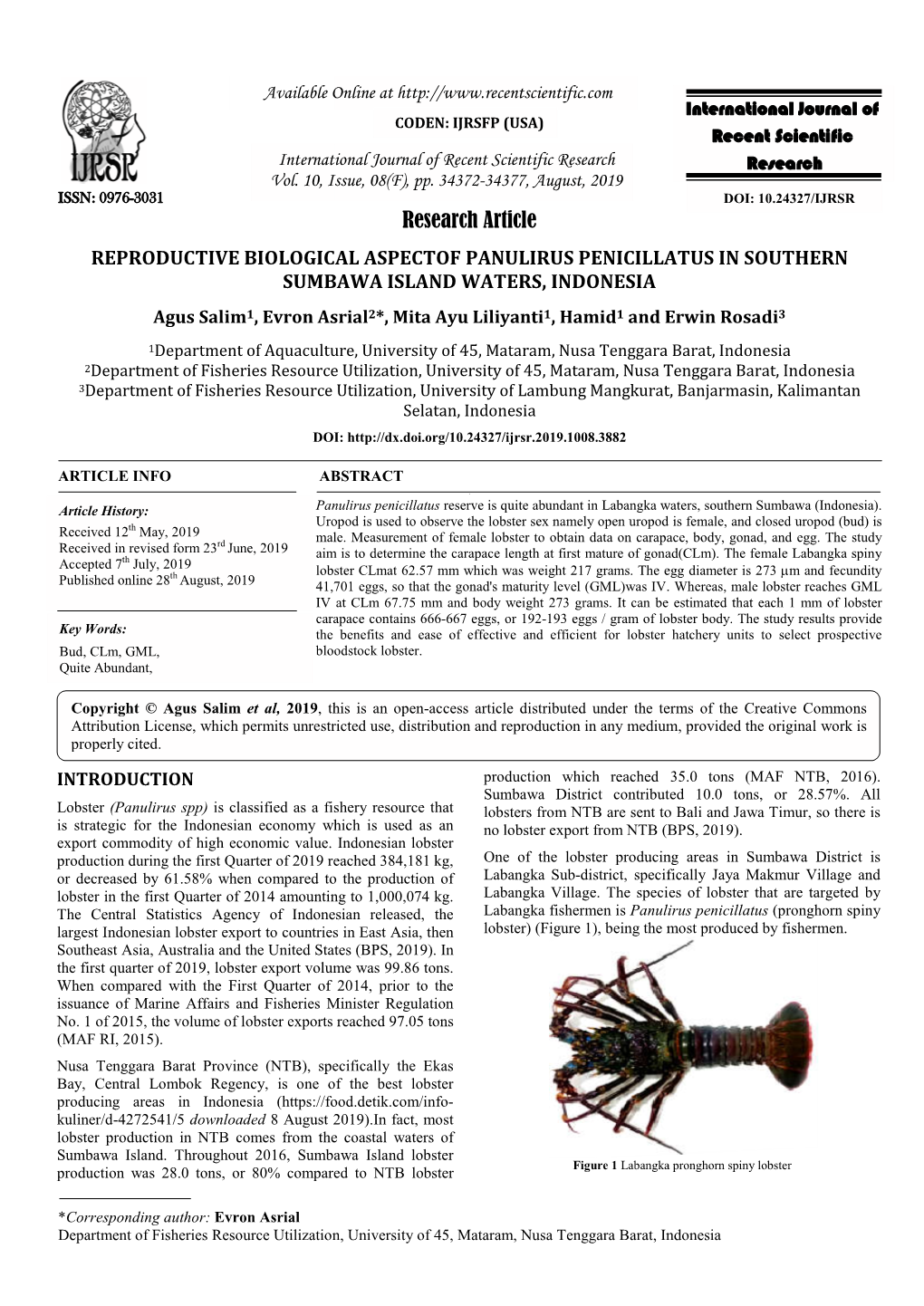 Downloaded 8 August 2019).In Fact, Most Lobster Production in NTB Comes from the Coastal Waters of Sumbawa Island