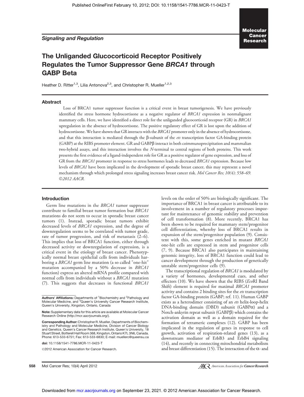 The Unliganded Glucocorticoid Receptor Positively Regulates the Tumor Suppressor Gene BRCA1 Through GABP Beta