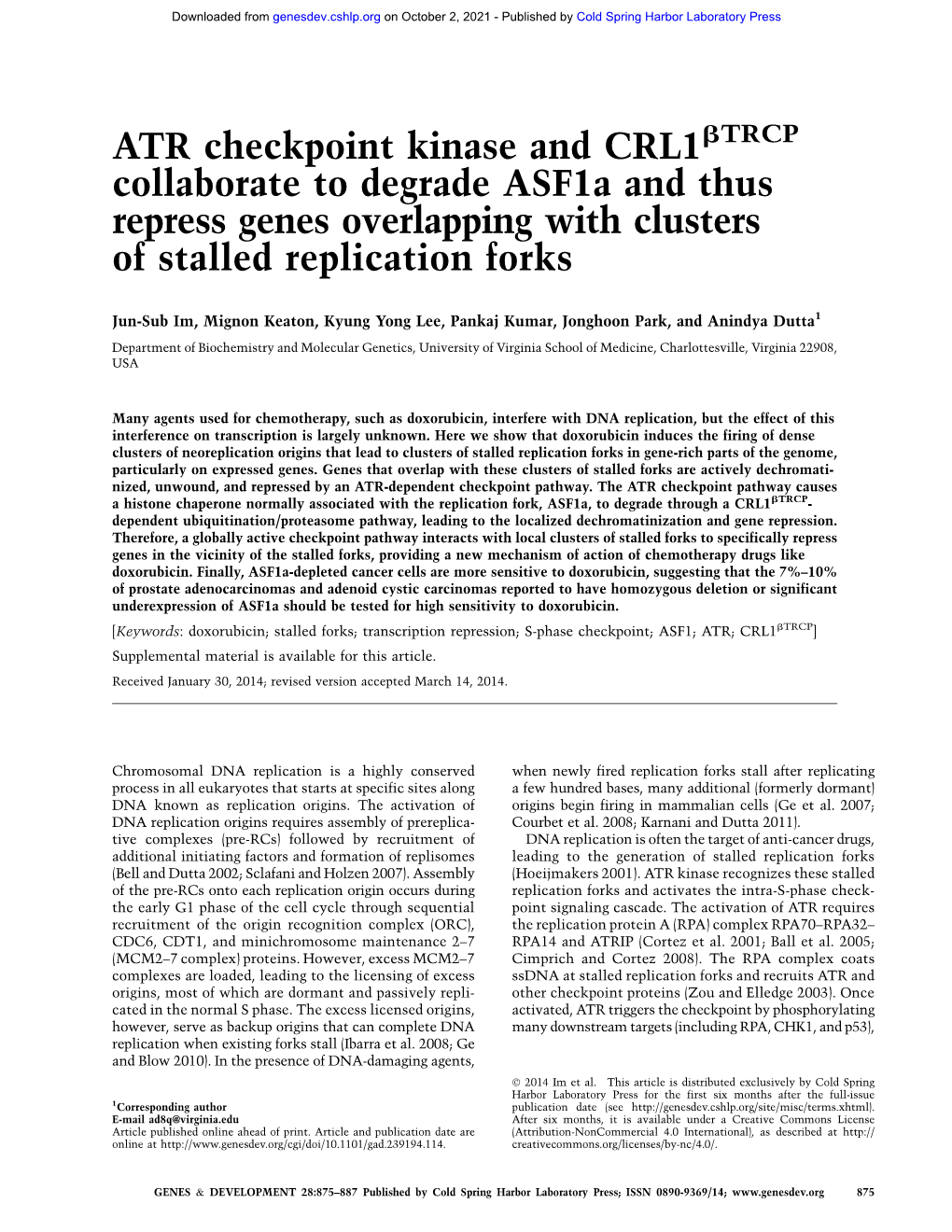 ATR Checkpoint Kinase and CRL1 Collaborate to Degrade Asf1a And