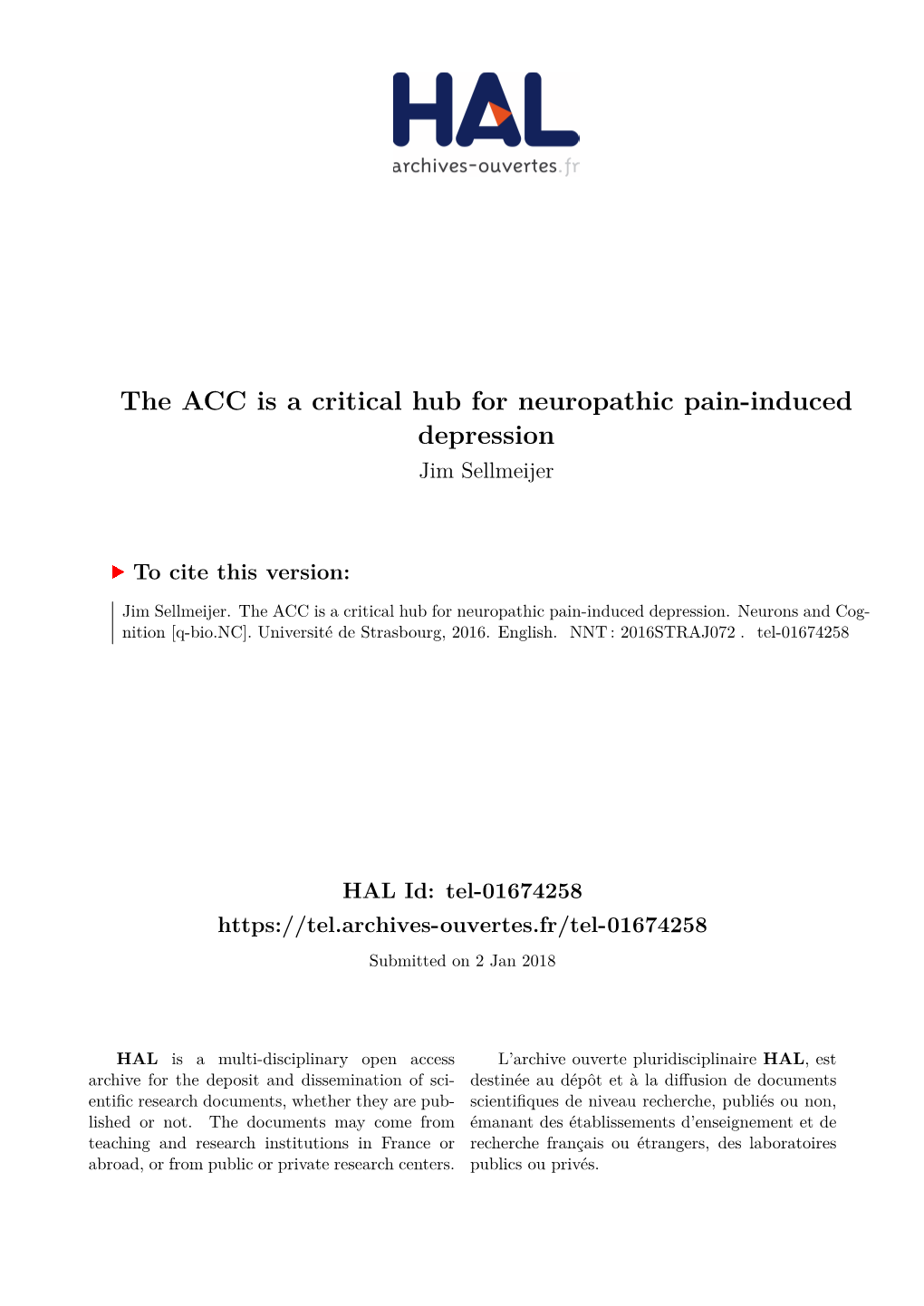 The ACC Is a Critical Hub for Neuropathic Pain-Induced Depression Jim Sellmeijer
