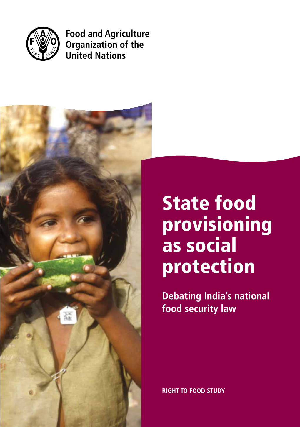 State Food Provisioning As Social Protection – Debating India's