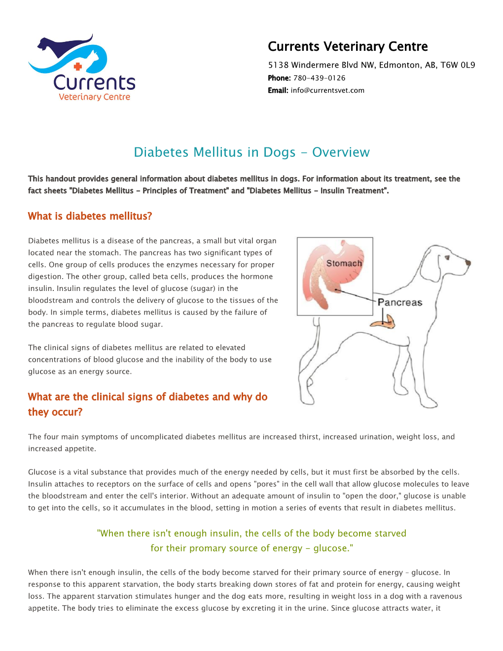 Diabetes Mellitus in Dogs - Overview