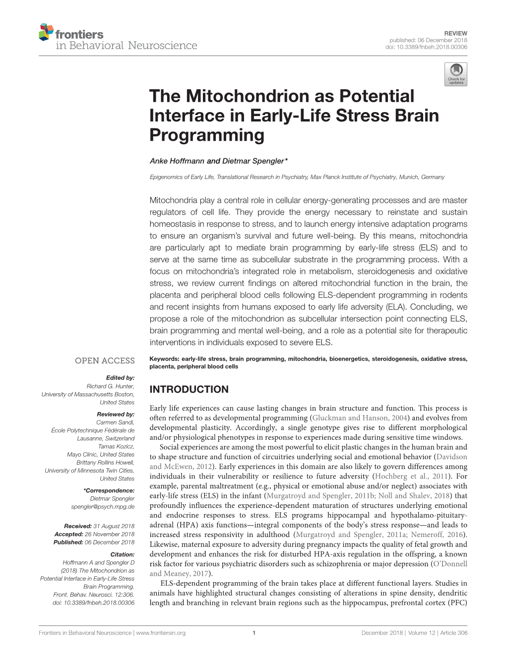 The Mitochondrion As Potential Interface in Early-Life Stress Brain Programming