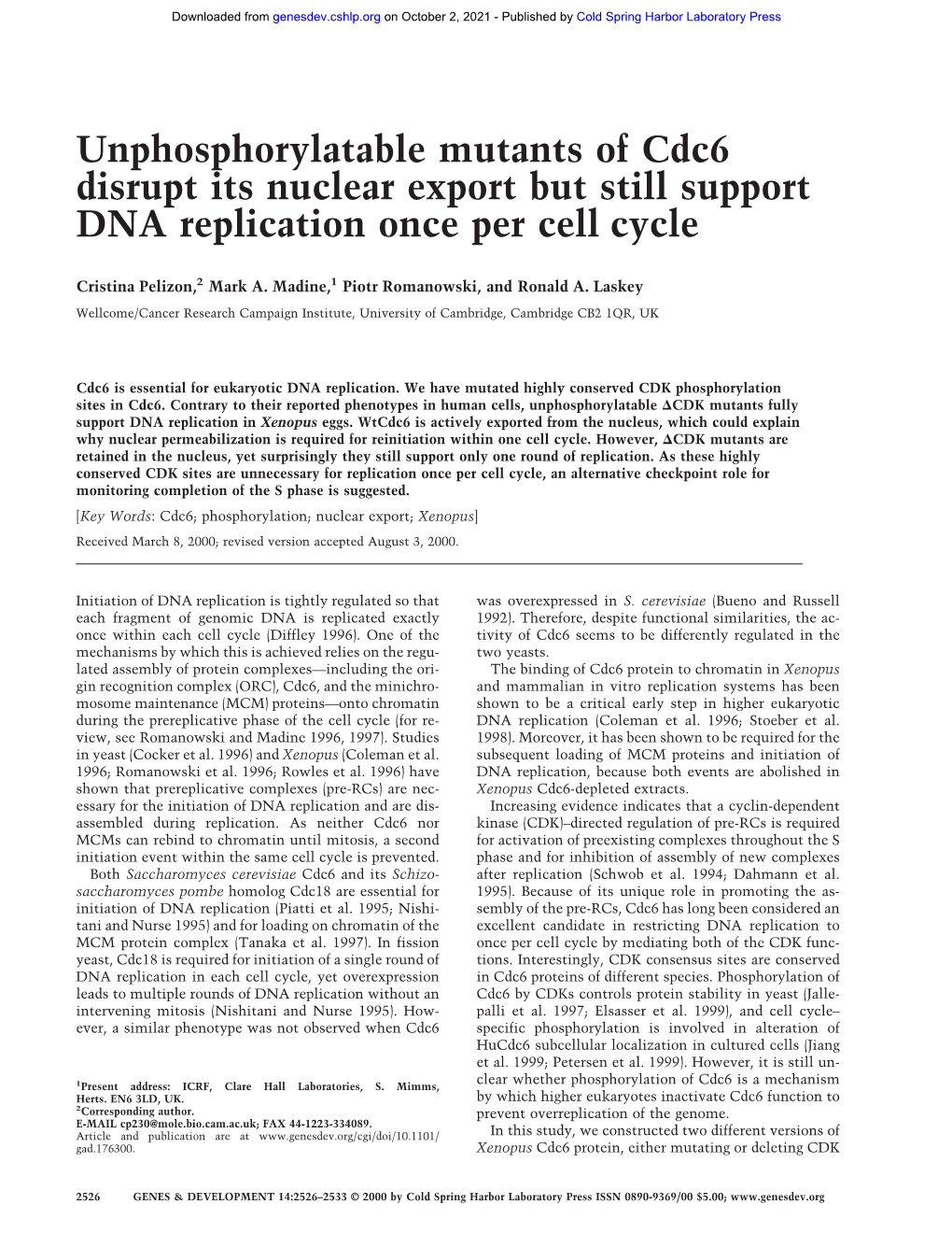 Unphosphorylatable Mutants of Cdc6 Disrupt Its Nuclear Export but Still Support DNA Replication Once Per Cell Cycle