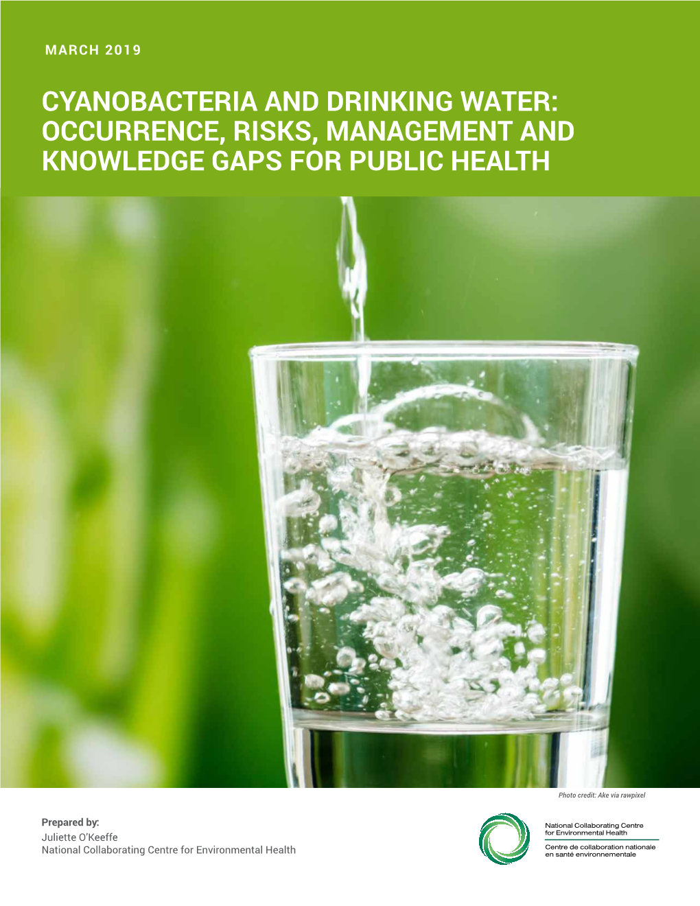 Cyanobacteria and Drinking Water- Occurrence Risks Management And