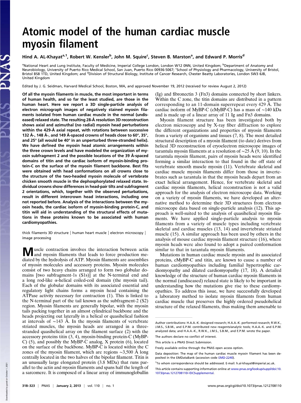 Atomic Model of the Human Cardiac Muscle Myosin Filament