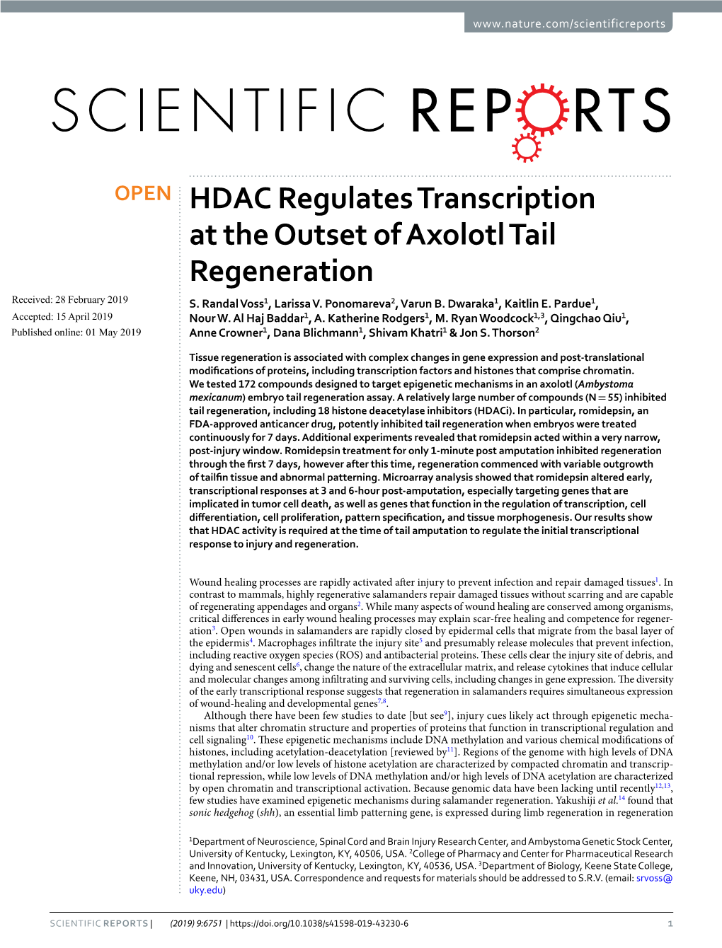 HDAC Regulates Transcription at the Outset of Axolotl Tail Regeneration Received: 28 February 2019 S