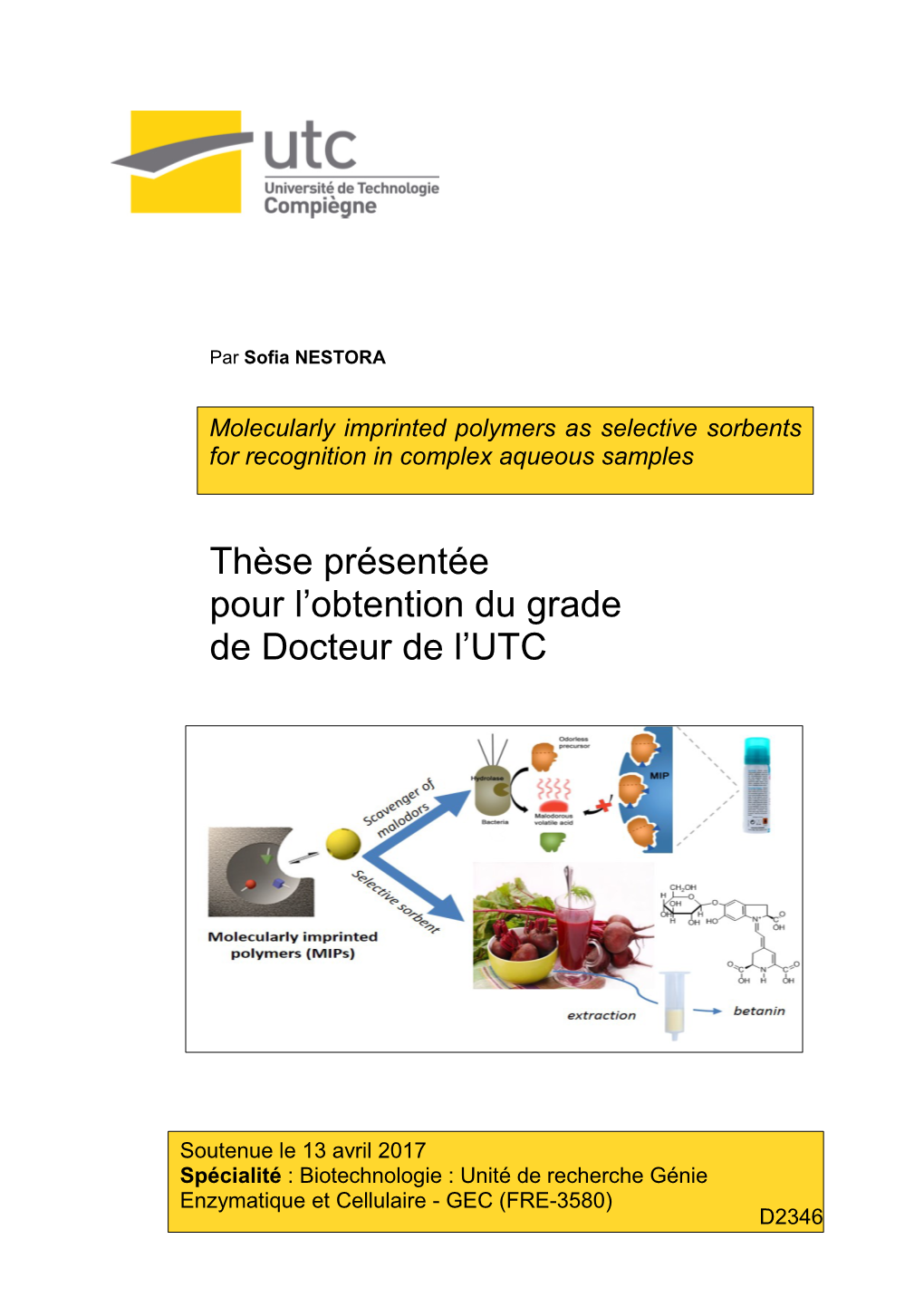 Molecularly Imprinted Polymers As Selective Sorbents for Recognition in Complex Aqueous Samples