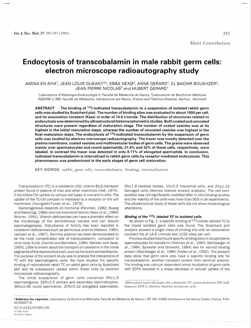 Endocytosis of Transcobalamin in Male Rabbit Germ Cells: Electron Microscope Radioautography Study