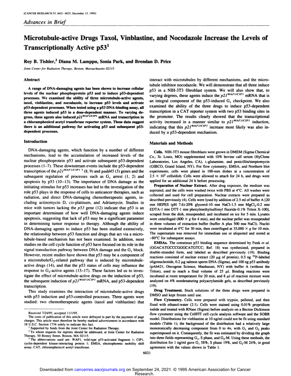 Microtubule-Active Drugs Taxol, Vinblastine, and Nocodazole Increase the Levels of Transcriptionally Active P531