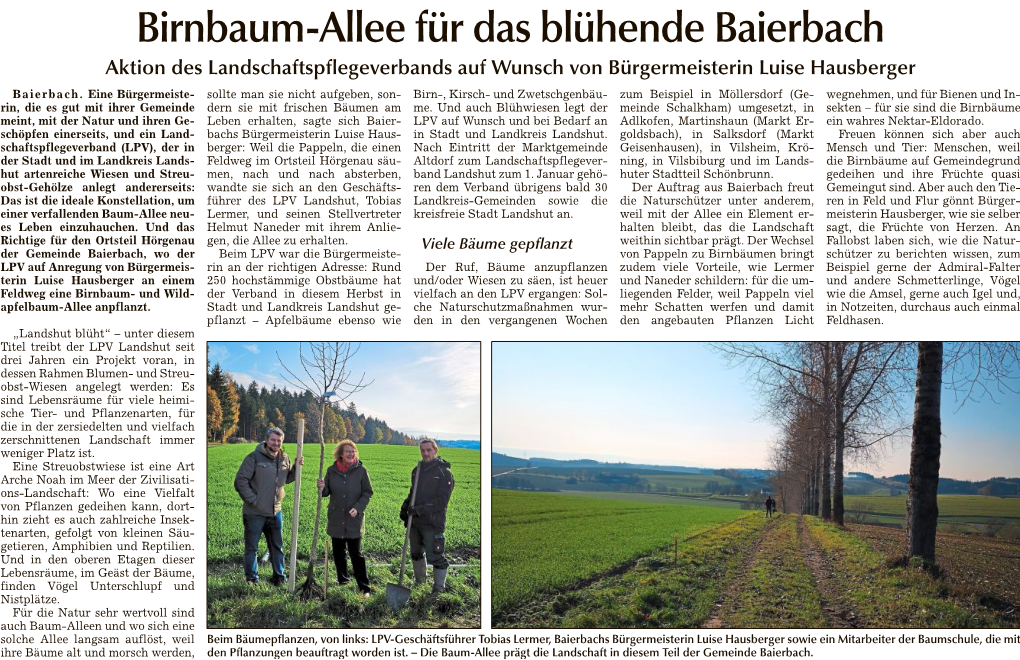 Birnbaum-Allee Für Das Blühende Baierbach Aktion Des Landschaftspflegeverbands Auf Wunsch Von Bürgermeisterin Luise Hausberger Baierbach