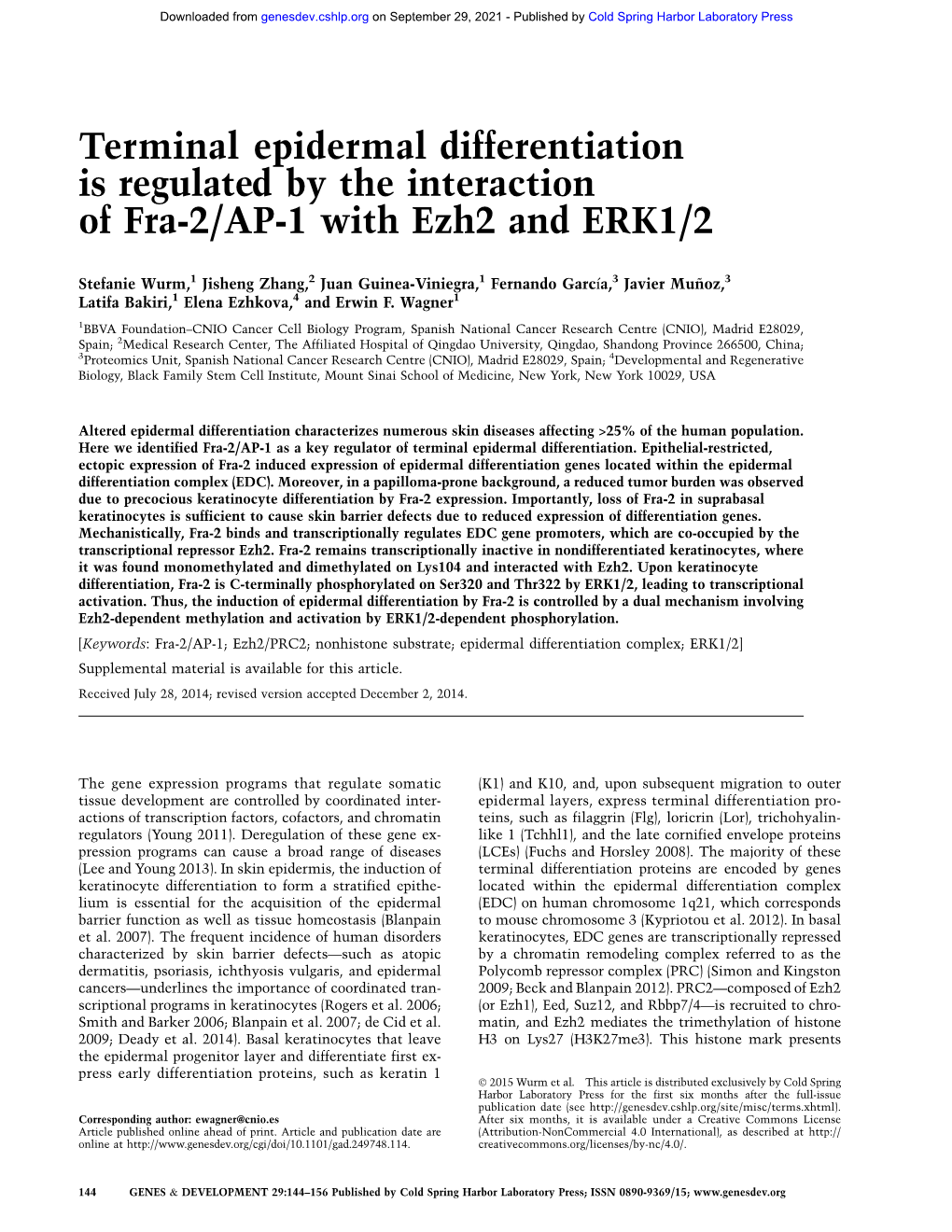 Terminal Epidermal Differentiation Is Regulated by the Interaction of Fra-2/AP-1 with Ezh2 and ERK1/2