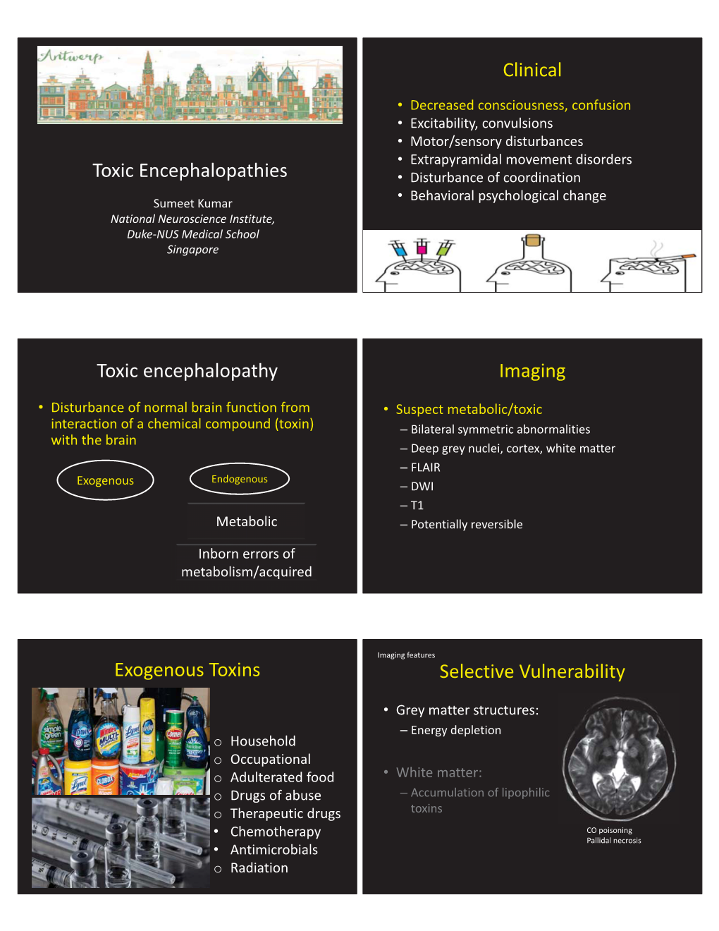 75560-Toxic Encephalopathies