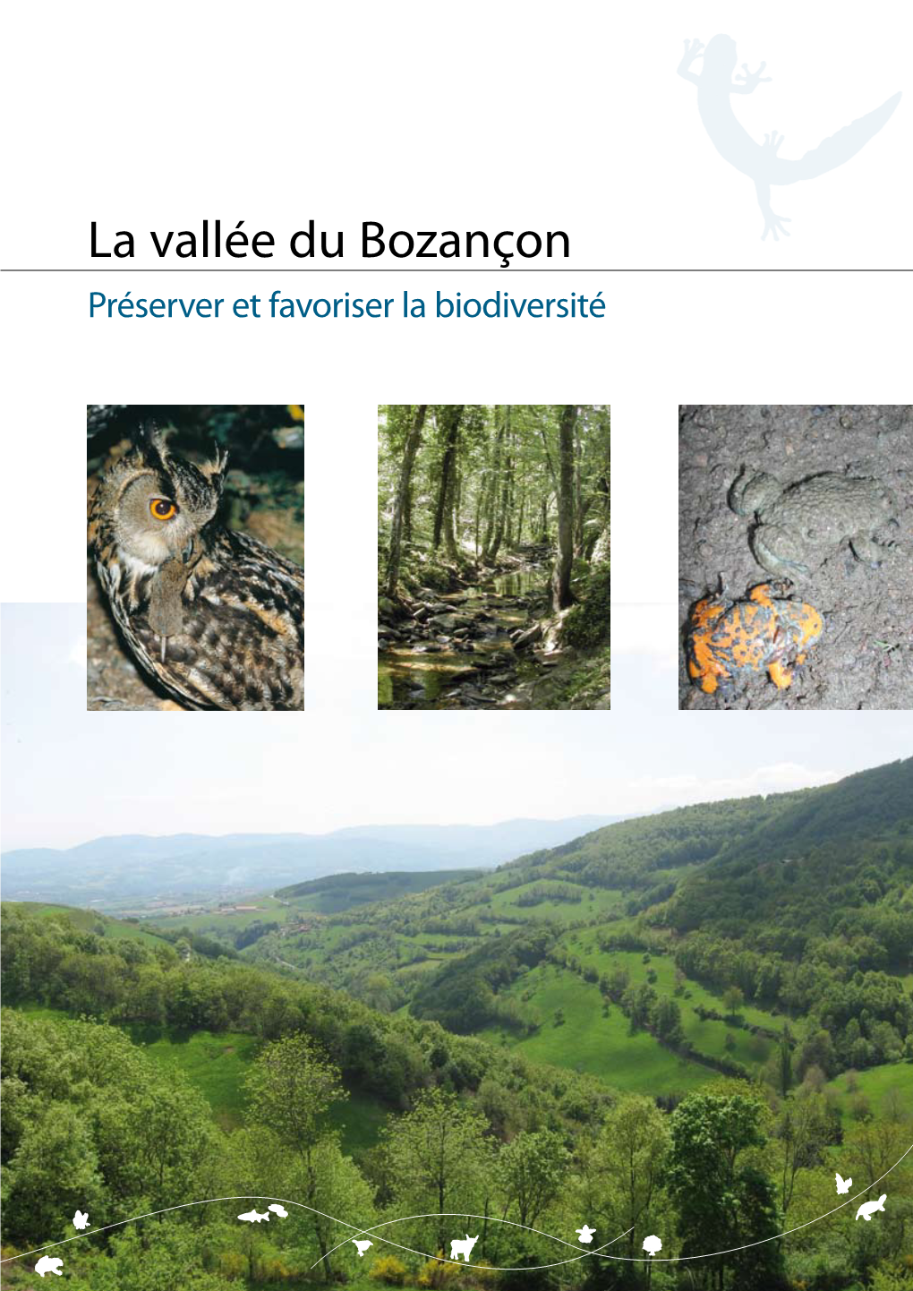 La Vallée Du Bozançon Préserver Et Favoriser La Biodiversité Intervenir En Partenariat Dans La Vallée Du Bozançon