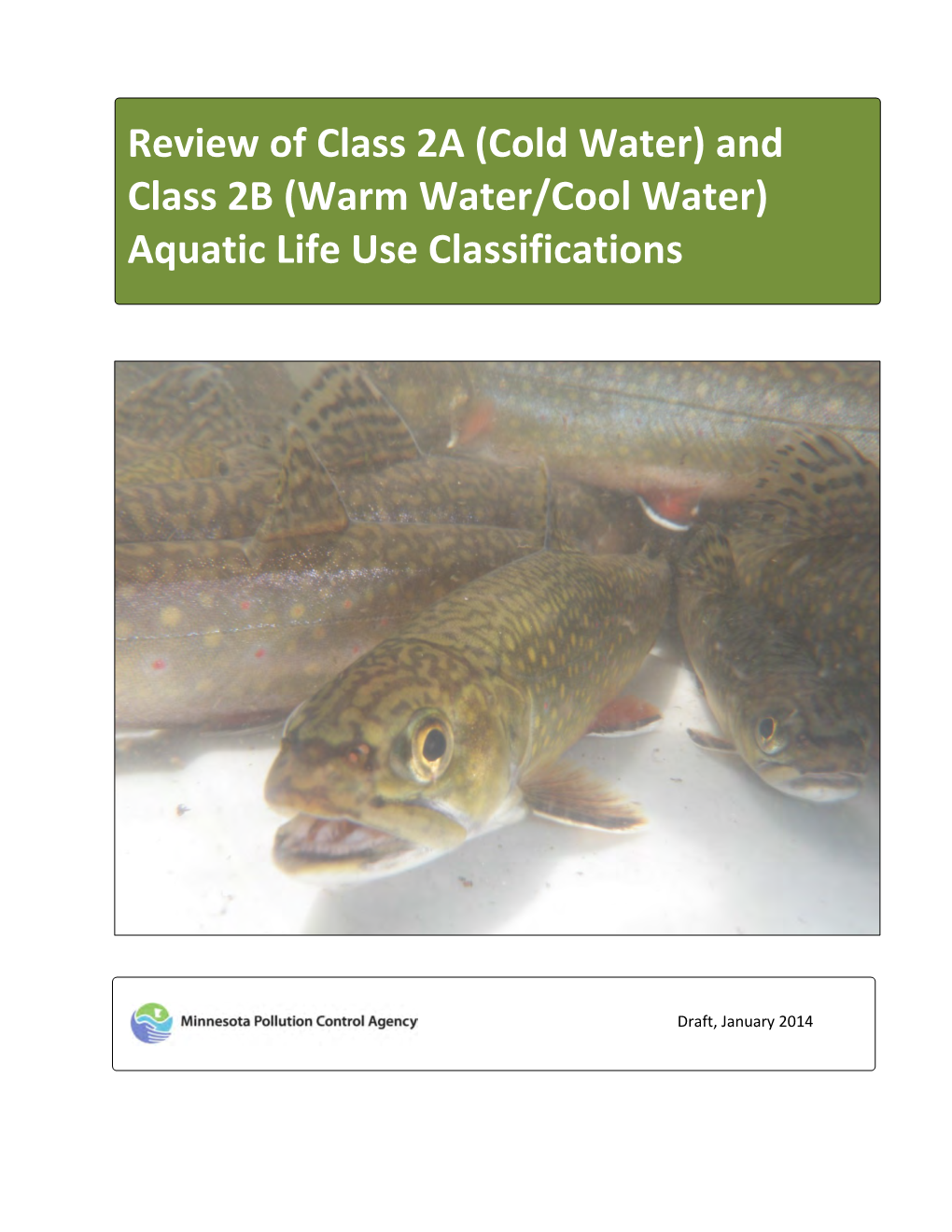 Review of Class 2A (Cold Water) and Class 2B (Warm Water/Cool Water) Aquatic Life Use Classifications