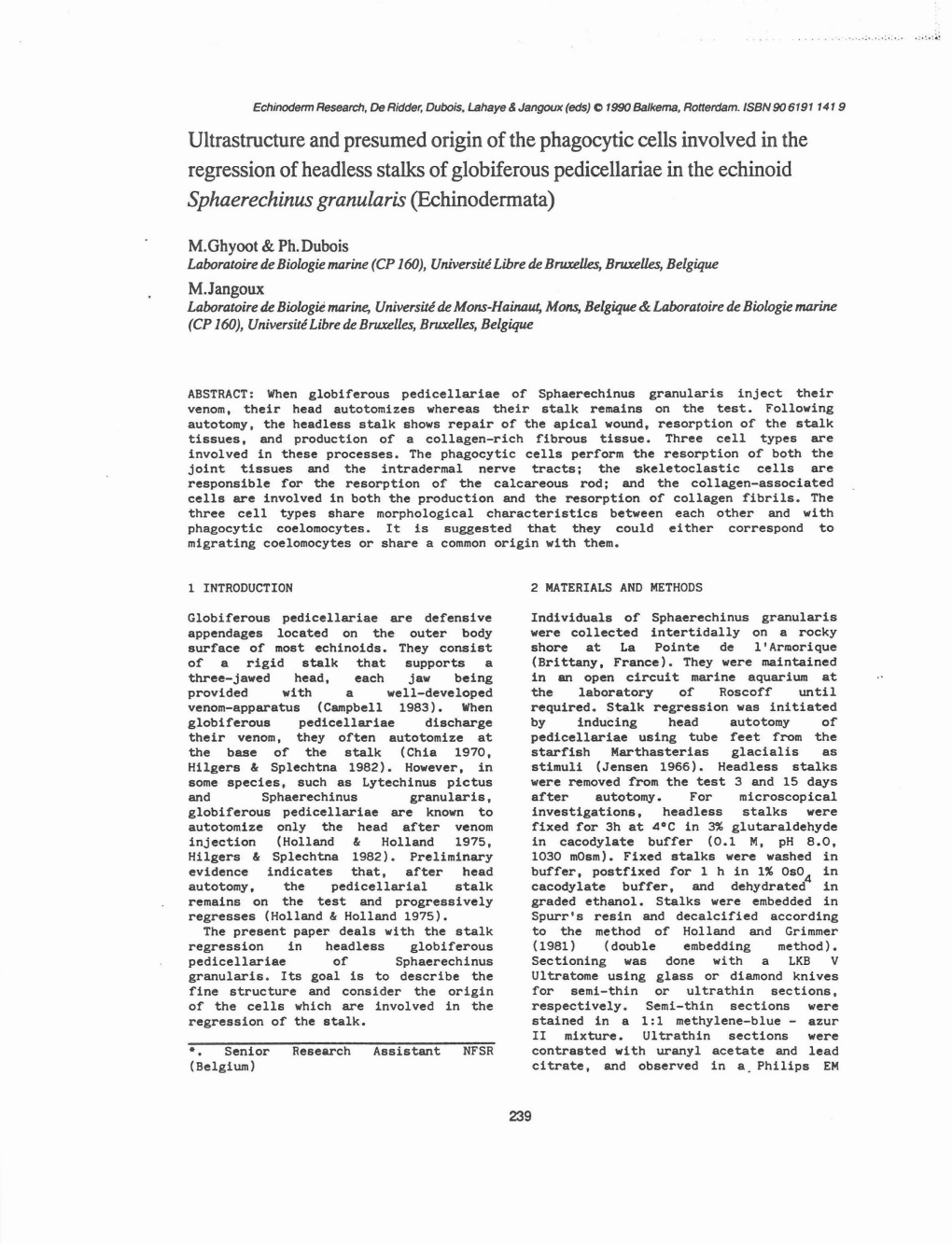 Ultrastructure and Presumed Origin of the Phagocytic Cells Involved in the Regression of Headless Stalks of Globiferous Pedicell