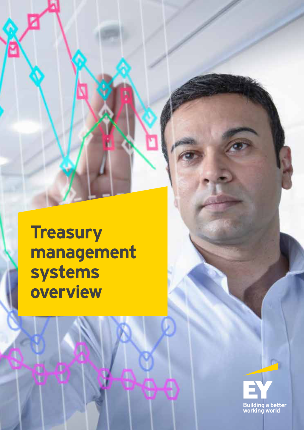 Treasury Management Systems Overview ﻿ Treasury Management Systems Overview | 2 Contents