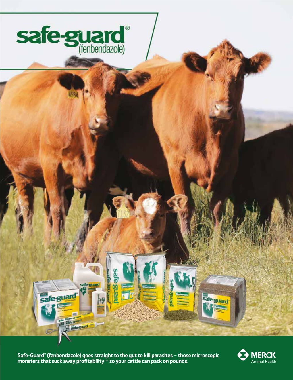 Safe-Guard® (Fenbendazole) Goes Straight to the Gut to Kill Parasites − Those Microscopic Monsters That Suck Away Profitability − So Your Cattle Can Pack on Pounds